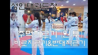 성인태권도 바로지르기\u0026반대지르기[Korea Taekwondo punch \u0026 opposite punch]