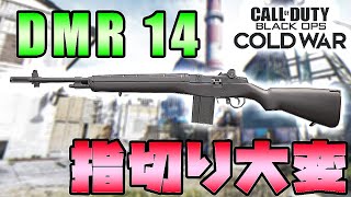 【CoD:BOCW実況】指連射力が試される！DMR 14は指切りが大変！【れおじん】