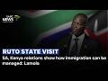 SA, Kenya relations show how immigration can be managed: Lamola