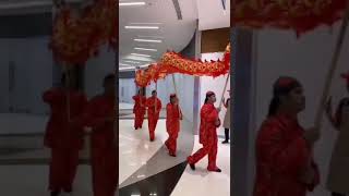 Chinese New Year 2025|  Dragon Dance| Dragon Show #chinesenewyear #shorts #shortsfeed #china #short