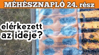 Méhésznapló #24 - Elérkezett a FEHÉRJÉS lepény ideje?