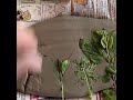 embossing into clay