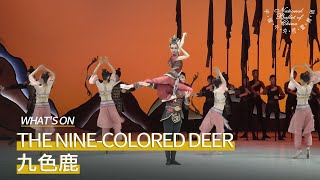 The Nine-Colored Deer: ”Fairy Tale Gift” of the School of National Ballet of China