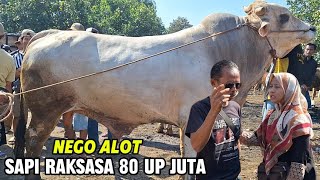 SAPI RAKSASA 80 JUTA UP BIKIN GEGER LANGSUNG NEGO ALOT JAGAL WANITA🔥