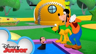 Pluto's New Friend 🐶 | Mickey Mornings | Mickey Mouse Clubhouse | Disney Junior