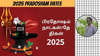 2025 பிரதோஷம் நாட்கள் | Pradosham Dates 2025 | Pradosh Vrat 2025 Dates | Digital Naveen