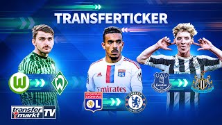 Chelsea kauft Gusto / Gordon wechselt zu Newcastle / Bremen leiht Philipp aus | TRANSFERMARKT
