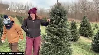 Christmas Tree Farm Virtual Field Trip - December 2024