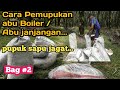 Cara Pemupukan abu boiler abu janjangan lahan kelapa sawit..