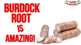 10 Burdock Root Benefits YOU NEED TO KNOW!