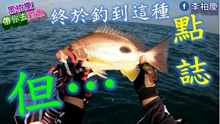 我真的難睡了～永安敲底郎蝦 #釣魚#敲底#郎蝦#石斑#船釣#泡綿船#fishing