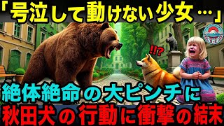 【海外の反応】「日本の犬は異常すぎる•••」庭で遊んでいた少女を救った秋田犬に世界中が感動し涙が止まらない…