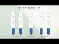 the revolutionary test alltest covid 19 antigen rapid test saliva lollipop style by eql pharma