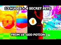 INSANE! I HATCHED 13 HUGES and 4 SECRET pets from USING 18 GOD POTION in Pets GO new JELLY UPDATE!