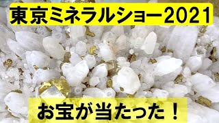 東京ミネラルショー2021の化石福袋開封と福引結果発表