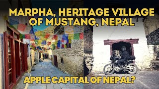 Marpha - Apple capital of Nepal #vlog #travel #motovlog