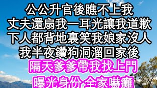 公公升官後瞧不上我，丈夫還扇我一耳光讓我道歉，下人都背地裏笑我娘家沒人，我半夜鑽狗洞溜回家後，隔天爹爹帶我找上門，曝光身份 全家嚇癱  #為人處世#生活經驗#情感故事#養老#退休