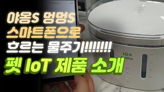 스마트공간 리뷰 - IoT 펫 자동급수기, 반려동물 흐르는 물주기, 강아지 고양이 애견 살균 물그릇 음수대 추천