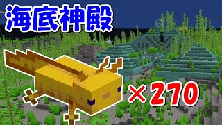 ウーパールーパー270匹で海底神殿を攻略する #Shorts 【マイクラ】