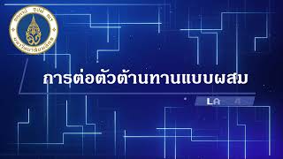 ไฟฟ้าเบื้องต้น (LAB 4: การต่อตัวต้านทานแบบผสม) [EP.4]