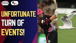 Shocking: Seagull Struck by James Vince’s shot at Big Bash League!