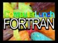 Fortran - Computer Lunch