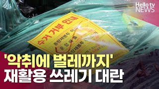 '악취에 벌레까지'…현실이 된 재활용 쓰레기 대란ㅣ#헬로tv뉴스