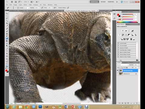 Slicing an object in Photoshop Slicing an object in Photoshop