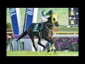 2019 4 20 福島 11r 福島牝馬Ｓ（ＧⅢ）