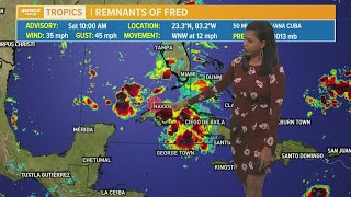 Monitoring the remnants of Fred and Tropical Storm Grace