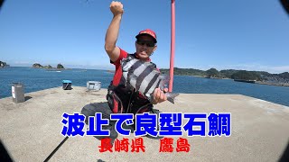 波止の石鯛～男闘呼の波止釣り列伝　#長崎松浦#鷹島波止#さちかぜ#石鯛釣り#葉隠太公望