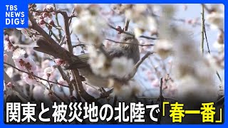 「先週まで雪降ってたとは思えない」関東と被災地の北陸で「春一番」　東京では4月下旬並みの暖かさ｜TBS NEWS DIG