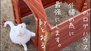 【後編】ど素人だけど身も心も温まる！外猫ログハウスを俺は作る！！