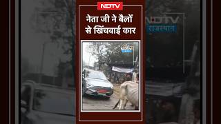 Rajasthan: Didwana में नेता की Electric Car रास्ते में हुई खराब, फिर बैलों से खिचवाई | Viral Video