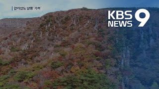 한라산 단풍 절정…가을 정취 물씬 / KBS뉴스(News)