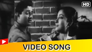 Tasveer Teri Dil Me, Jis Din Se Utari Hai Video Song | Dev Anand | Mala Sinha | Maya | Hindi Gaane