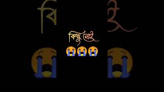 কষ্টের স্ট্যাটাস।বাংলা স্ট্যাটাস।ভালোবাসার স্তাতুস#love #banglastatus #viralvideo #islamic #শর্ট