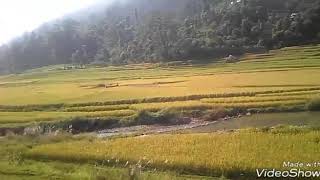 Mirkot gorkha