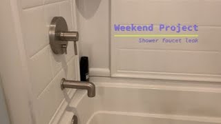 Weekend Project - shower faucet drip repair