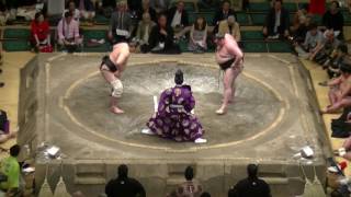 臥牙丸-東龍/2017.5.28(29)/gagamaru-azumaryu^/day15 #sumo