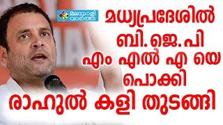 BJP മധ്യപ്രദേശിൽ ഭരണകക്ഷിയായ ബിജെപിക്ക് കനത്ത തിരിച്ചടി നൽകി കോൺഗ്രസ്സ്