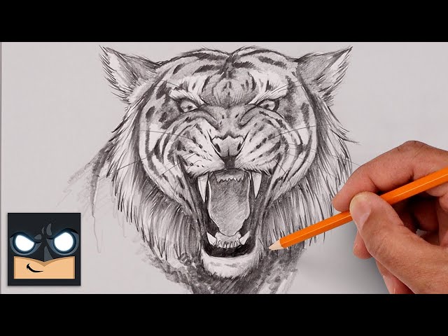 How To Draw A Tiger Step By Step Sketch Tutorial Videos For Kids