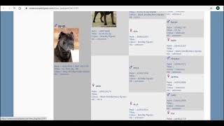 Tutorial Cane Corso Pedigree.com