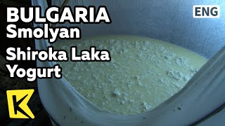 【K】Bulgaria Travel-Smolyan[불가리아 여행-스몰랸]시로카라라 양젖 요거트/Shiroka Laka Yogurt/Rhodope/Cheese/Sheep milk