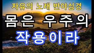 지혜의 향기  : 자유의 노래 반야심경  \