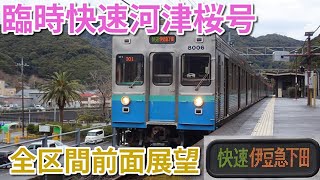 【8000系が駅を通過⁉︎】伊豆急行　臨時快速河津桜号 伊豆急下田行き　全区間前面展望（伊豆高原〜伊豆急下田）2023/02/19