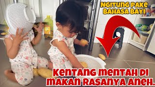 Tingkah bayi umur 13 bulan lucu mainan kentang di dapur