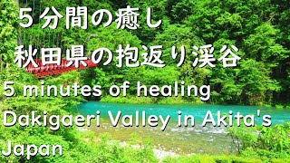 ５分間の癒し　秋田県の抱返り渓谷　5 minutes of healing Dakigaeri Valley in Akita's Japan