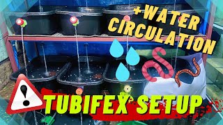 TUBIFEX SET-UP | DC AQUATICS Vlog # 54