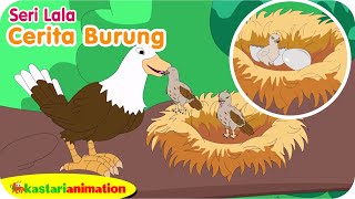 CERITA BURUNG - BAGAIMANA BURUNG BISA BERTELUR - Belajar Bersama Lala - Kastari Sentra Official